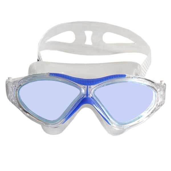 Goggles Omega