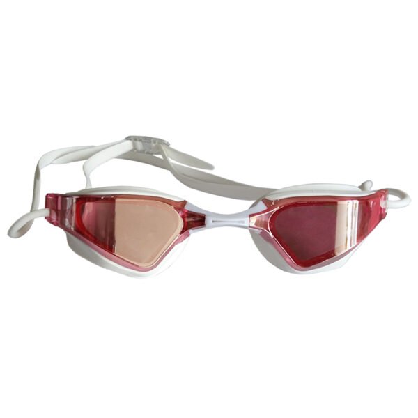Goggles Terminator